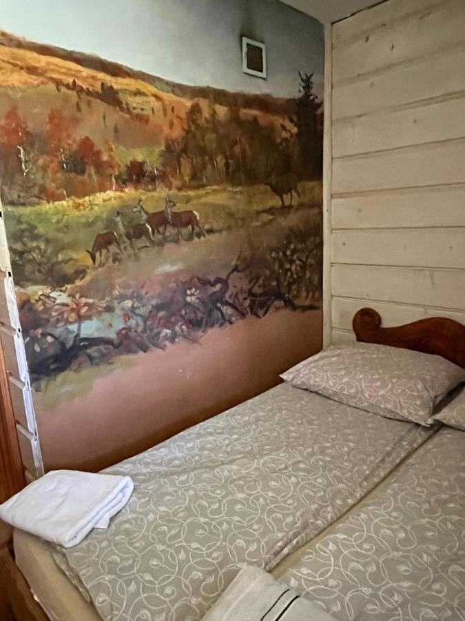 Ferienhaus Bieszczady W Dolinie Sanu *