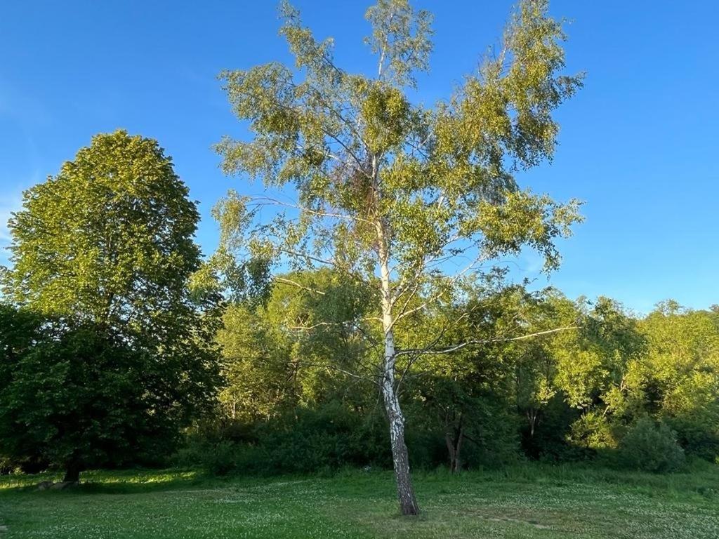 Ferienhaus Bieszczady W Dolinie Sanu *