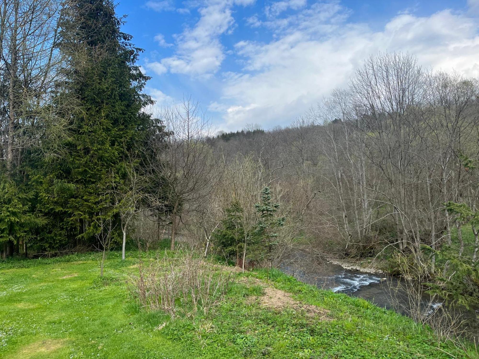Ferienhaus Bieszczady W Dolinie Sanu