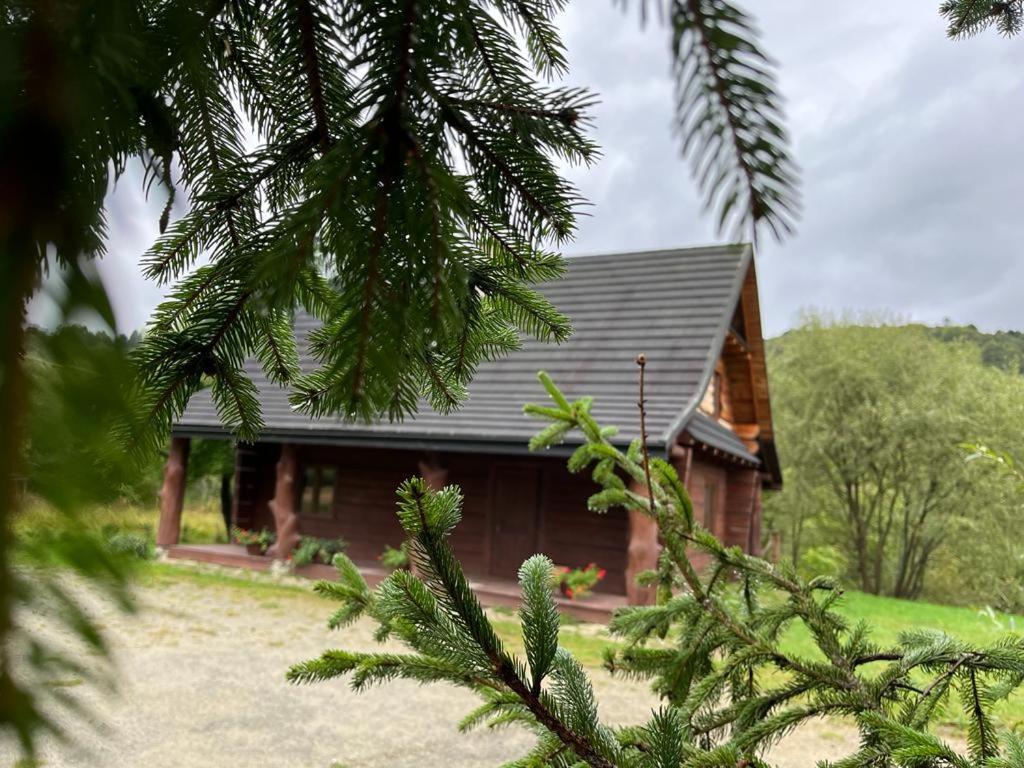 Bieszczady W Dolinie Sanu